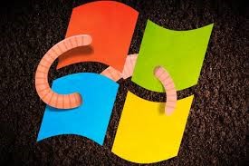 Windows logo with worms